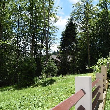 Alpin Residence Sinaia Ngoại thất bức ảnh