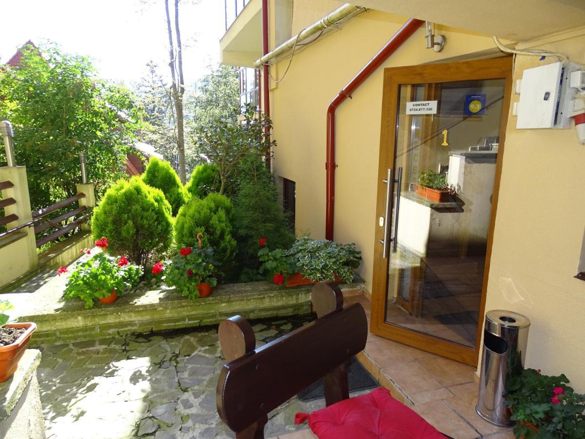 Alpin Residence Sinaia Ngoại thất bức ảnh