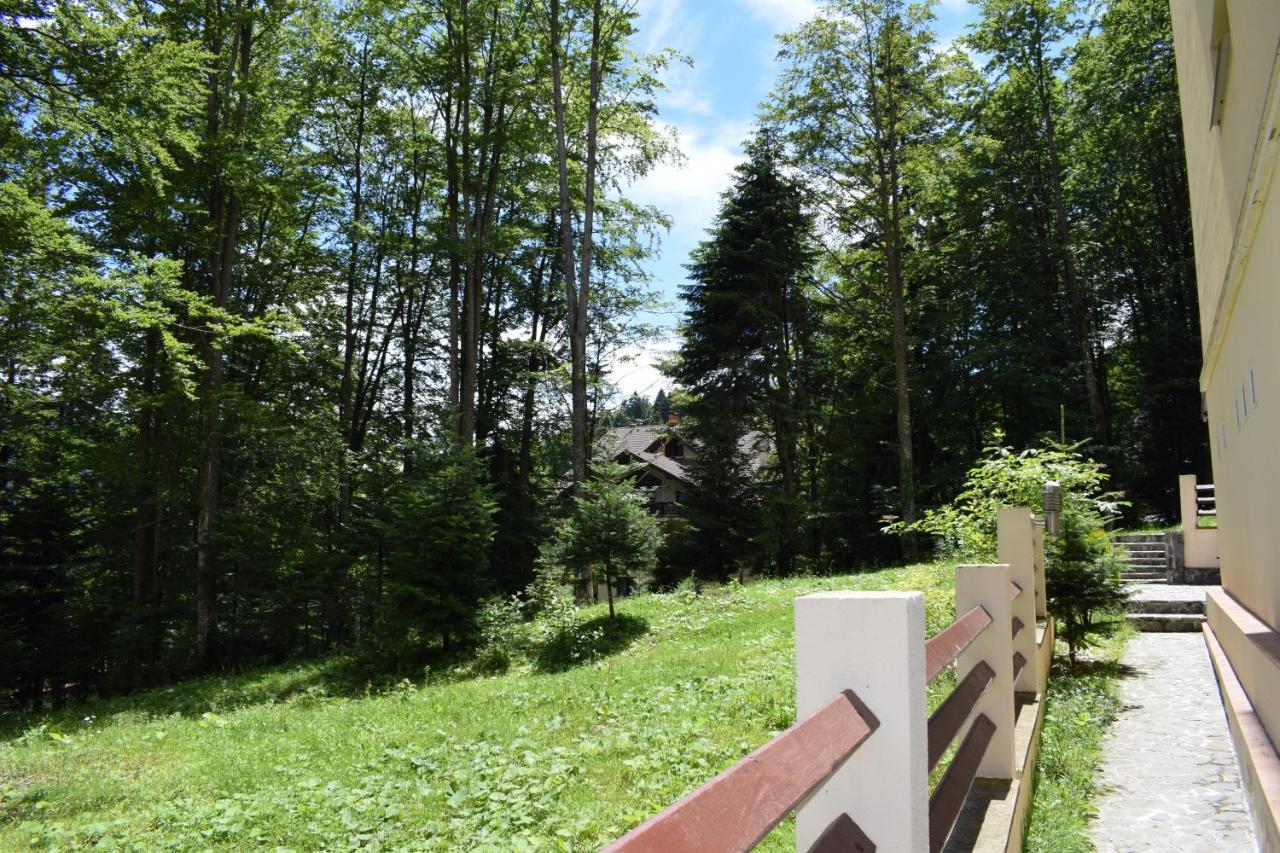 Alpin Residence Sinaia Ngoại thất bức ảnh