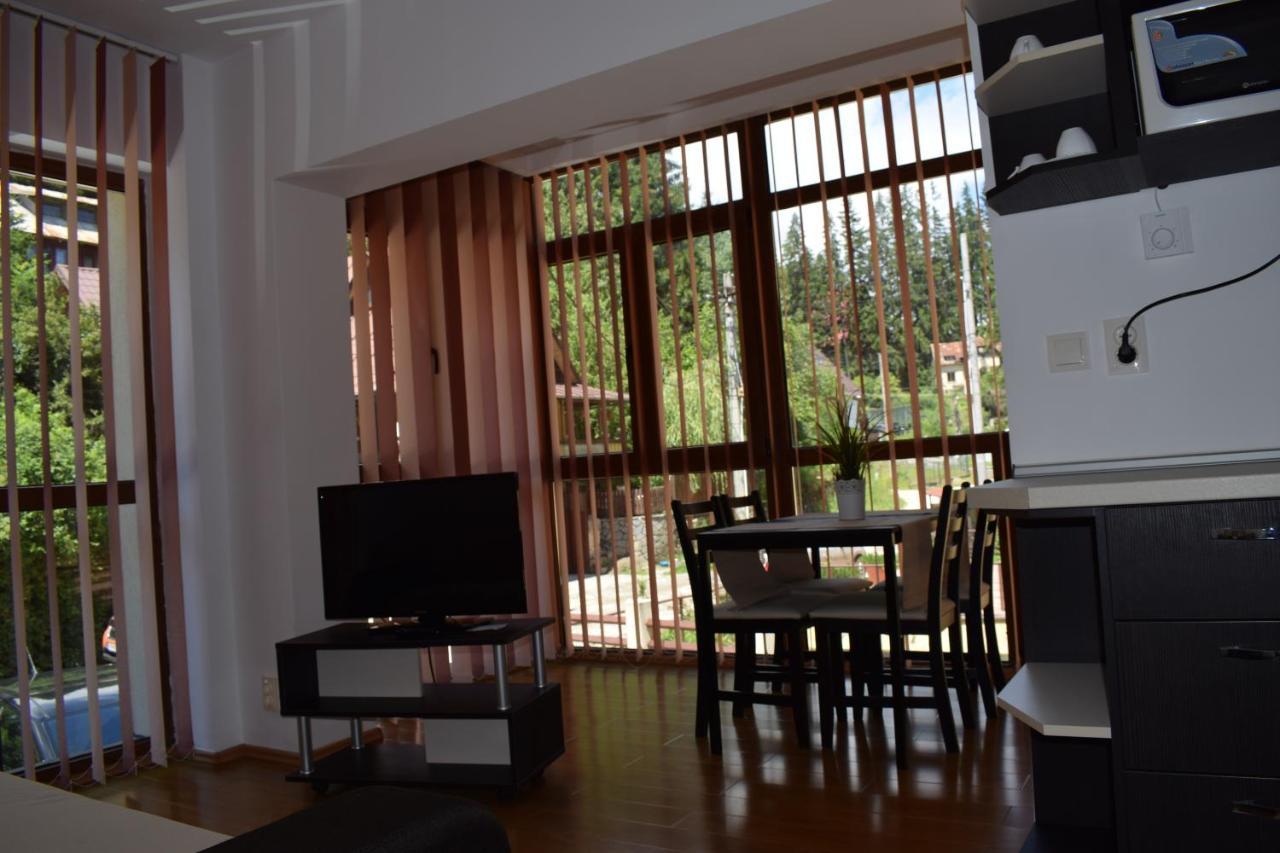 Alpin Residence Sinaia Ngoại thất bức ảnh