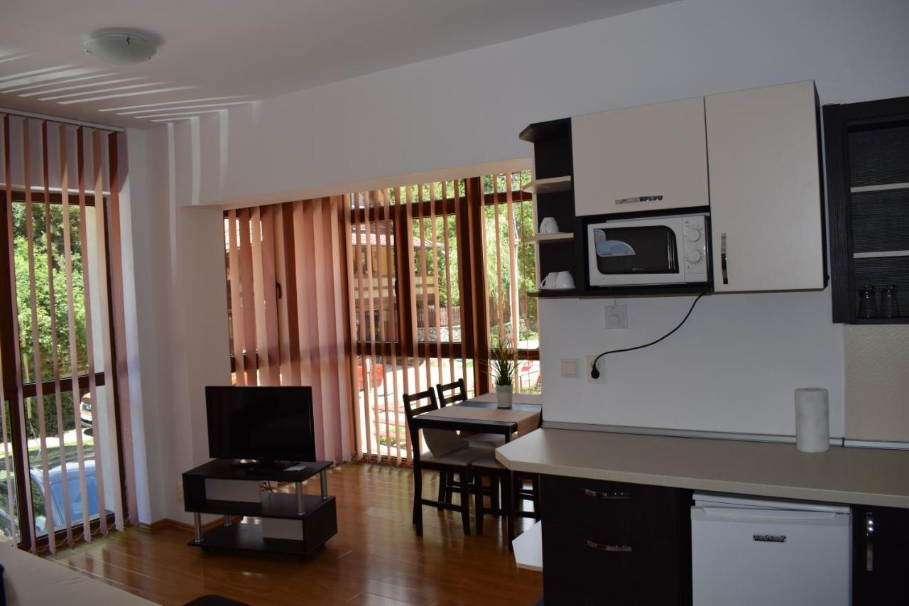 Alpin Residence Sinaia Ngoại thất bức ảnh